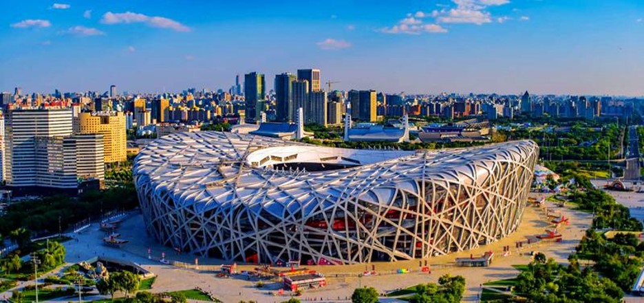 Bird's Nest