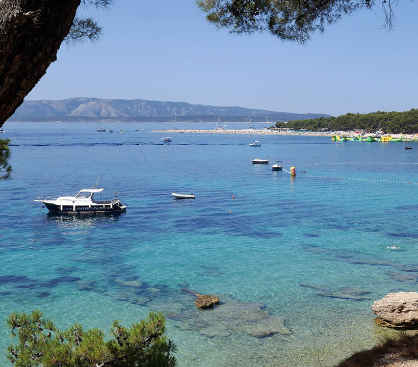 brac2