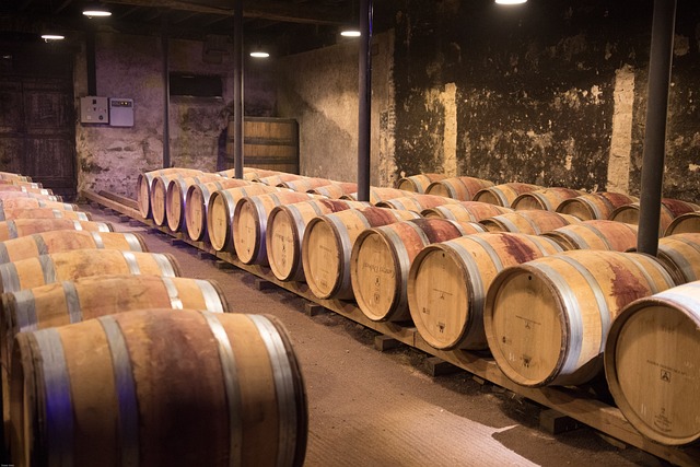 Beaujolais-with-Alpine-Adventures