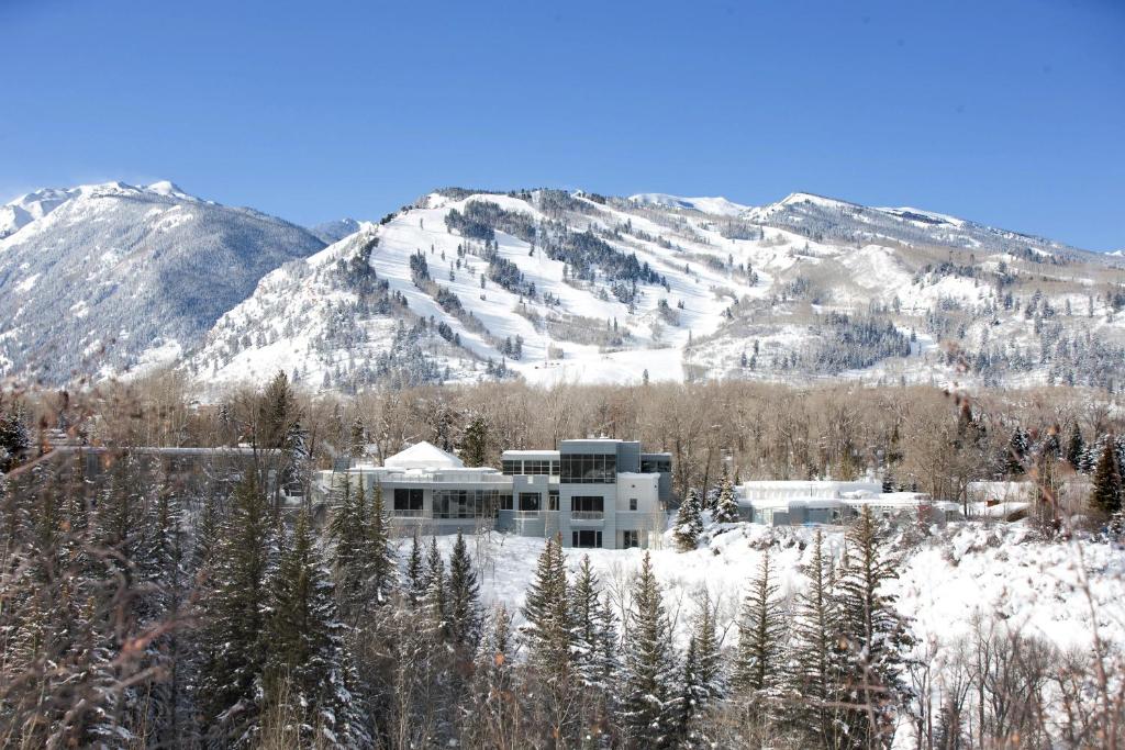 Aspen Meadows