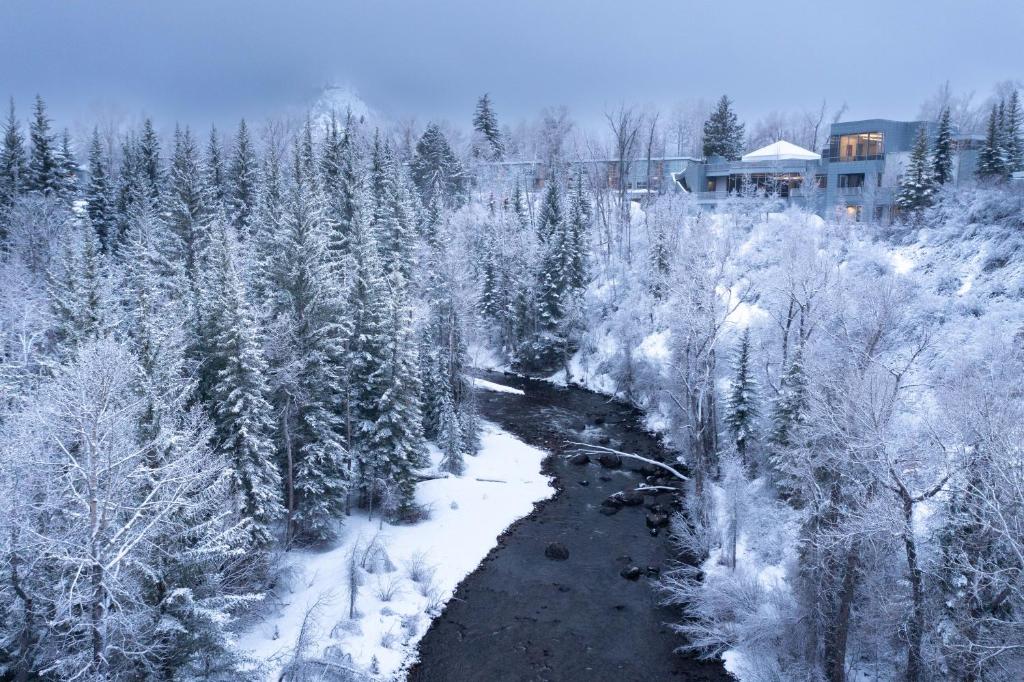 Exclusive Aspen Meadows winter offer featuring suite savings, resort credit, breakfast, and premium Alpine Adventures benefits.